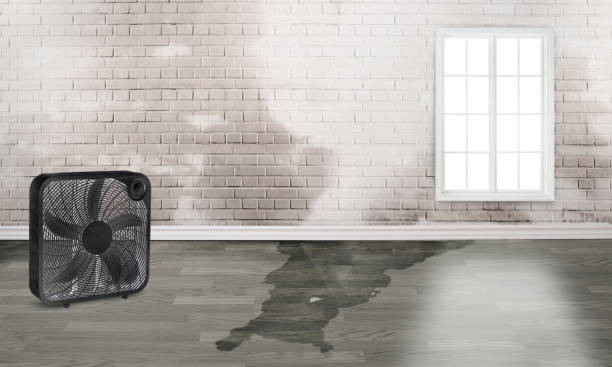 Best Residential water damage restoration  in Crozet, VA