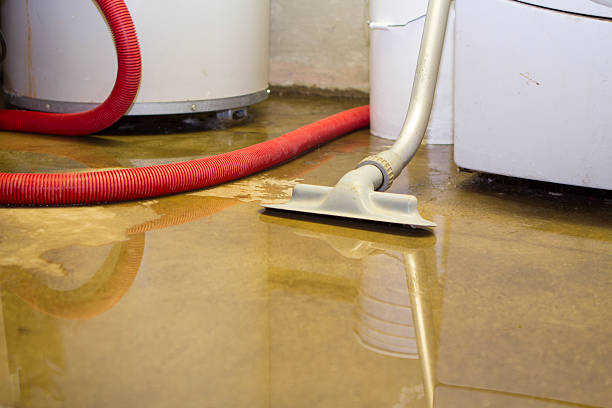 Best Carpet water damage restoration  in Crozet, VA