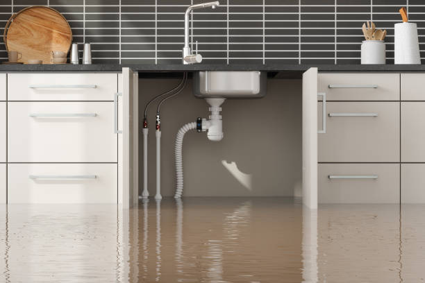 Best Local water damage restoration  in Crozet, VA