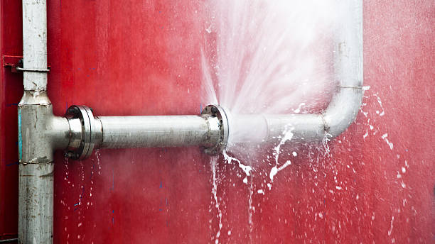 Best Water damage restoration company  in Crozet, VA
